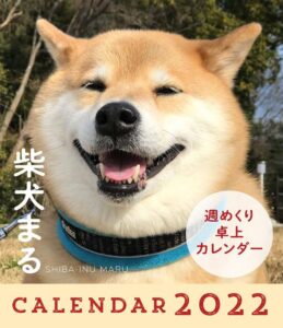 サムティのcmに出演中の柴犬の名前は 朝から可愛らしさに出会えた幸せをシェアしませんか